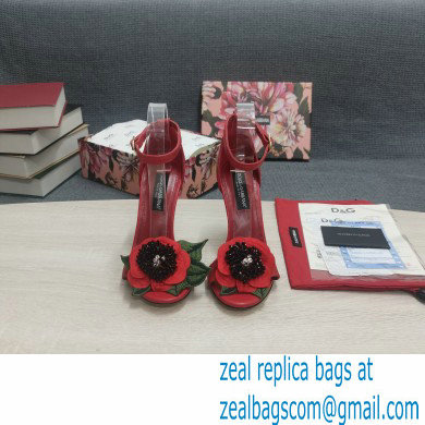 Dolce  &  Gabbana DG Logo Heel 10.5cm Black Red Roses Sandals Red 2022